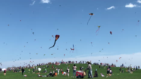 Kids-of-all-ages-enjoying-the-Kids-and-Kites-Festival-in-Chicago-with-hundreds-of-kites-flying-in-the-sky