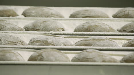 Fresh-Batch-Of-Risen-Bread-Dough-Stacked-Neatly-In-A-Shelf-Ready-For-Baking---slow-motion-panning-shot