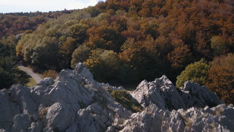 Smooth-traveling-above-a-rock-discovering-a-forest-in-autumn
