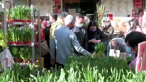 Menschen-Kaufen-Während-Des-Chinesischen-Neujahrs-Auf-Einem-Blumenmarkt-Wassernarzissenpflanzen