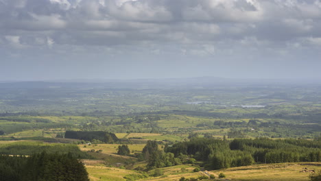 Time-lapse-of-rural-agriculture-landscape-with-fields-and-forest-in-the-distance-on-a-cloudy-summer-day-in-Ireland