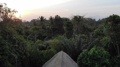 Tiro-De-Drone-De-Una-Casa-Del-árbol-Durante-La-Puesta-De-Sol-En-Bali,-Indonesia