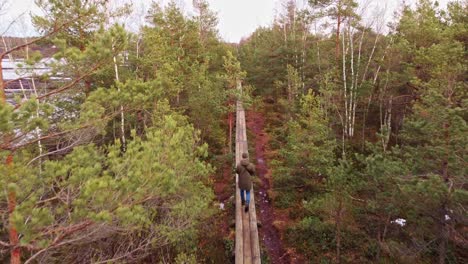 Eine-Solo-Wanderung-Im-Sumpfigen-Wald:-Aus-Der-Sicht-Einer-Drohne