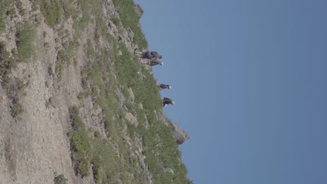Un-Grupo-De-Personas-Caminando-En-Las-Montañas-Y-Colinas-De-Villa-Pehuenia,-Patagonia,-Argentina-Con-Cielos-Azules-Arriba