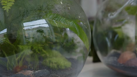 Floral-workshop-with-tiny-ecosystems-in-the-terrariums-close-up-of-the-ready-made-glass-jars-panorama-right