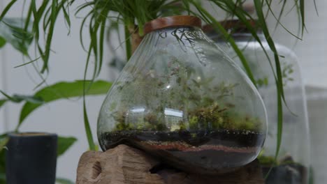 Floral-workshop-with-the-tiny-ready-made-ecosystems-in-the-terrariums-panorama-left