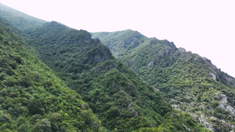 Panoramic-shot-of-mountain-ridge-surrounded-by-forestry