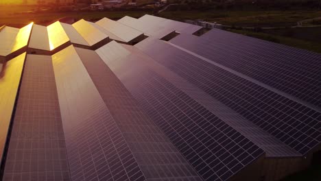 Solar-panel-array-on-green-house-farm-roofs-at-sunset