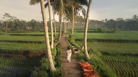 Indonesian-girl-exploring-cultural-landscape-peacefully-through-palm-trees-trail-and-rice-fields-in-remote-Bali-village-during-sunrise