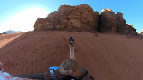 Punto-De-Vista-Montando-Un-Camello-En-El-Desierto-De-Wadi-Rum-Gran-Angular