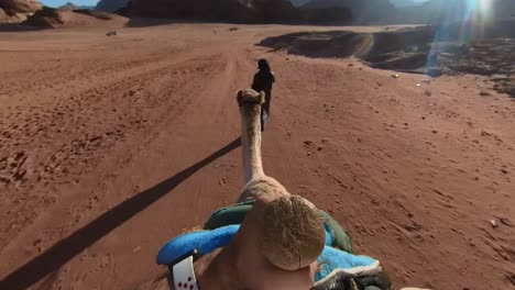 Pov-Montando-Un-Camello-En-El-Desierto-De-Wadi-Rum