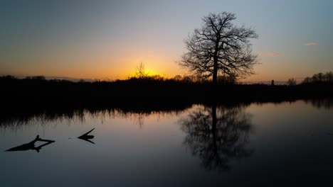 Silhouette-of-driftwood-in-perfectly-calm-lake-water-reflecting-sunset,-time-lapse