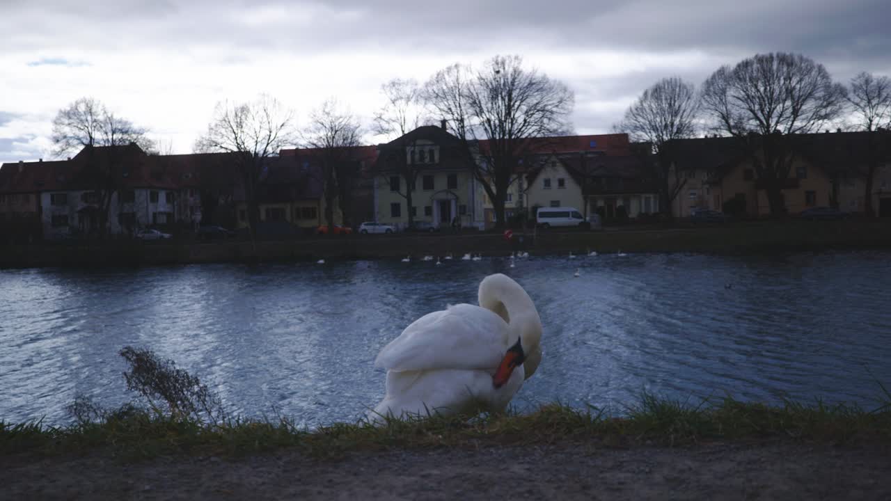 Riverside Cleaning Video 