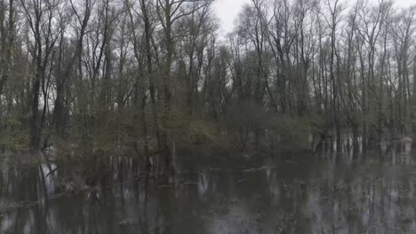 Drone-shot-of-trees-in-swamp-like-water