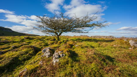 Panorama-motion-timelapse-of-rural-nature-farmland-with-single-tree-and-field-ground-rocks-in-the-foreground-during-cloudy-sunny-day-viewed-from-Carrowkeel-in-county-Sligo-in-Ireland