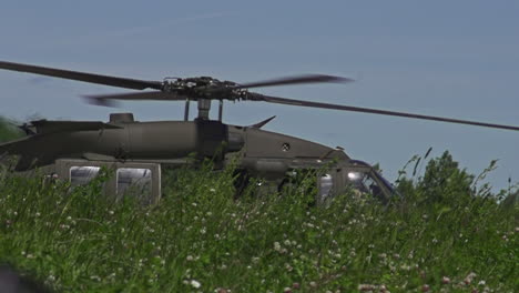 Sikorsky-UH-60-Black-Hawk-Taxiing-Past-Tall-Grass-With-Main-Rotor-Blades-Spinning