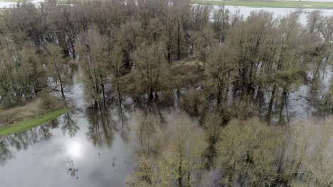 Aerial-drone-shot-of-swamp-like-natural-environment