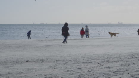 Menschen-Und-Ihre-Hunde-Verbringen-Ihre-Freizeit-Am-Strand-In-Gdynia,-Polen