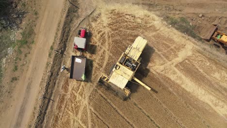 Aerial-drone-top-down-shot-flying-over-a-yellow-agricultural-farm-combine-harvester-busy-collecting-ripe-wheat-from-a-large-wheat-field-at-daytime