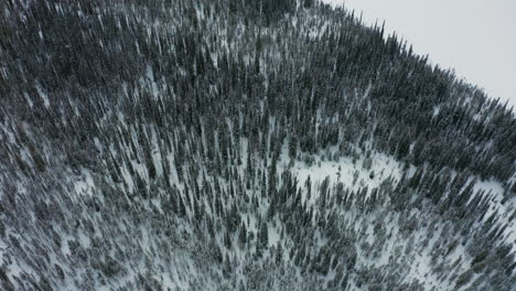 Aerial-moving-over-snowy-forest-panning-up-over-frozen-lake-to-mountains
