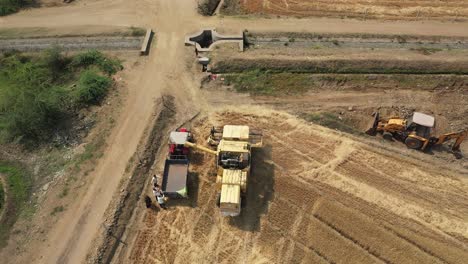 Aerial-drone-top-down-shot-flying-over-a-yellow-agricultural-farm-combine-harvester-harvesting-ripe-wheat-from-a-large-wheat-field-in-Rajkot,-India-on-a-sunny-day