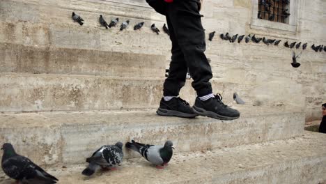 Pigeons-are-feeding-on-the-marble-steps-of-The-Eminonu-New-Mosque-in-Istanbul,-Turkey