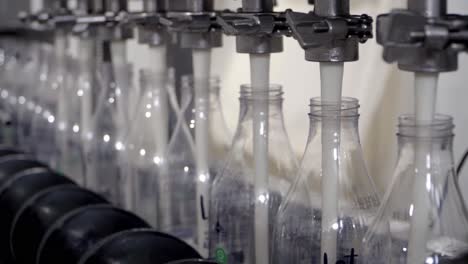 Automated-Milk-Bottling-Process:-Machine-Fills-Glass-Bottles