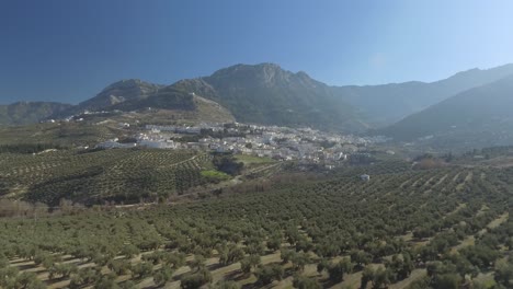 Cazorla-village-in-Andalusia,-Spain-located-at-the-foot-of-rocky-mountain,-huge-olive-groves-with-regular-rows-in-a-valley