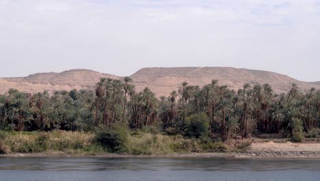 Sandy-hills-in-background-with-palm-trees-and-the-Nile-river-with-birds-flying-around-in-Luxor,-Egypt