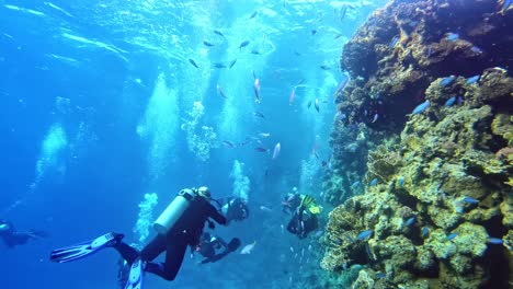 Fun-and-joy-of-diving-in-the-coral-reef