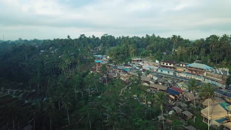 Disparo-De-Drones-Volando-Sobre-Las-Terrazas-De-Arroz-De-Tegalalang-En-Bali,-Indonesia