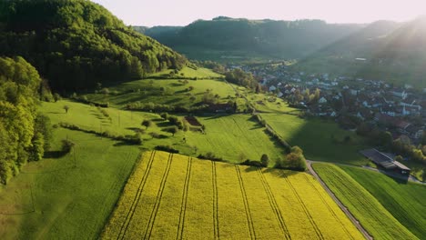 beautiful-spring-golden-hour-aerial-view-of-small-village-in-countryside-switzerland,-yellow-rapeseed-field-flowers-and-green-forest