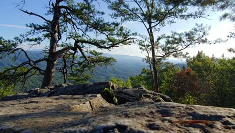 A-view-of-the-Great-Smoky-Mountains-National-Park-with-trees-in-the-foreground-filmed-on-a-rock-cliff-in-the-Foothills-Parkway-located-in-the-Smoky-Mountains