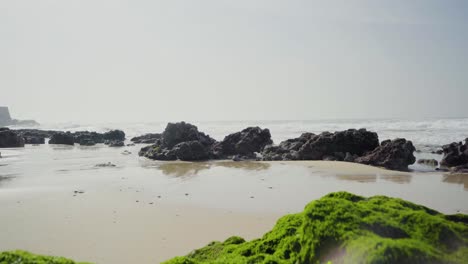 Nature-Sea-Ocean-Shore-Stones-Rocks-Waves-Sand-Seaweed-Sunny-Daylight-Fortress-Traveling-Tilt-Shot-4K