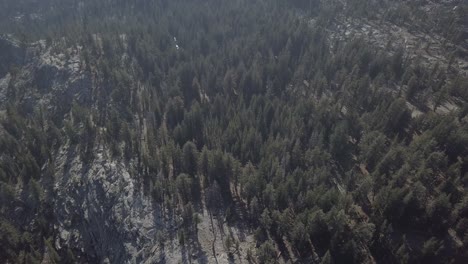 Toma-Aérea-De-Drones-Del-Bosque-En-El-Parque-Nacional-De-Yosemite