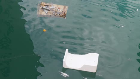 plastic-bag-floating-in-the-sea