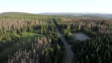 Vista-Aérea-De-La-Renovación-De-árboles-En-El-Parque-Nacional-De-Harz,-Baja-Sajonia,-Alemania