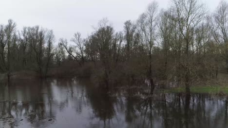 Drone-shot-of-swamp-like-water-with-trees