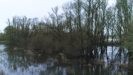 Slow-moving-drone-shot-of-swamp-like-natural-environment