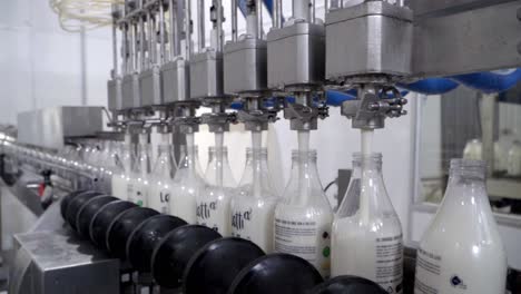 Milk-bottling-machine:-Glass-bottle-filling-process