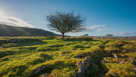 Panorama-motion-timelapse-of-rural-nature-farmland-with-single-tree-and-field-ground-rocks-in-the-foreground-during-cloudy-sunny-day-viewed-from-Carrowkeel-in-county-Sligo-in-Ireland