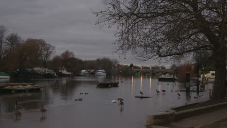 Day-to-night-time-lapse-of-river-Thames-in-Richmond