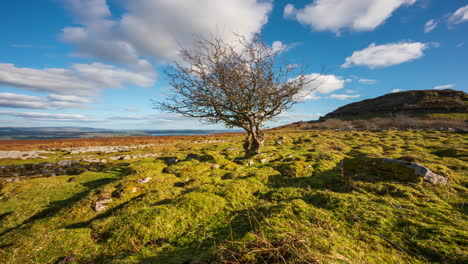Panorama-motion-timelapse-of-rural-nature-farmland-with-single-tree-and-field-ground-rocks-in-the-foreground-during-spring-sunny-day-viewed-from-Carrowkeel-in-county-Sligo-in-Ireland