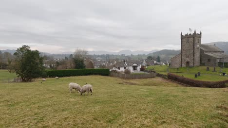 St-Michael-and-All-Angels-Church-in-Hawkshead,-showing-fields-and-grazing-sheep-Cumbria,-UK