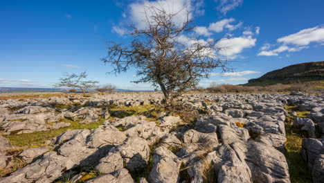 Panorama-timelapse-of-rural-nature-farmland-with-trees-and-field-ground-rocks-in-the-foreground-during-spring-sunny-day-viewed-from-Carrowkeel-in-county-Sligo-in-Ireland