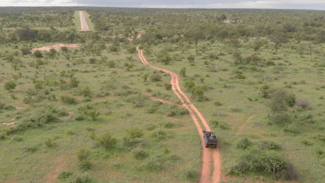 Aerial-shot-of-safari-vehicle-driving-on-dirt-road-in-South-African-wilderness