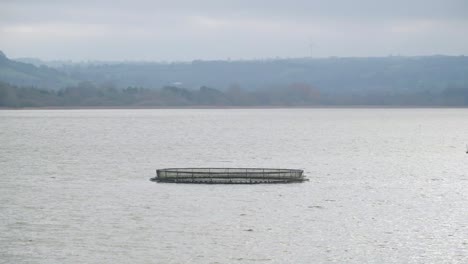 BRISTOL,-SOMERSET,-UNITED-KINGDOM,-Aquaculture-cages-in-the-middle-of-the-chew-valley-artificial-lake