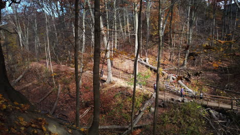 Scenic-shot-of-fall-trees-in-the-Glen-Stewart-Ravine,-with-hikers-of-all-ages-down-below-on-a-trail