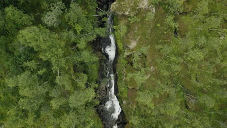 Top-down-view-of-mountain-with-rapids-surrounded-by-forest