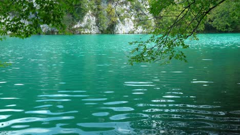 View-across-a-turqoise-colored-lake-with-blowing-branches-in-the-foreground-at-Plitvice-Lakes-National-Park-in-Croatia,-Europe